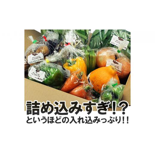 【訳あり・新品】 ふるさと納税 宮城県 岩沼市 【定期便全6回】連続6ヶ月お届け！岩沼みんなの家の「みんなの直売！野菜」セット詰め合わせ [No.5704-0641] 【MYK7971565969】(28080円)