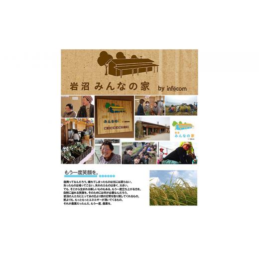 【訳あり・新品】 ふるさと納税 宮城県 岩沼市 【定期便全6回】連続6ヶ月お届け！岩沼みんなの家の「みんなの直売！野菜」セット詰め合わせ [No.5704-0641] 【MYK7971565969】(28080円)