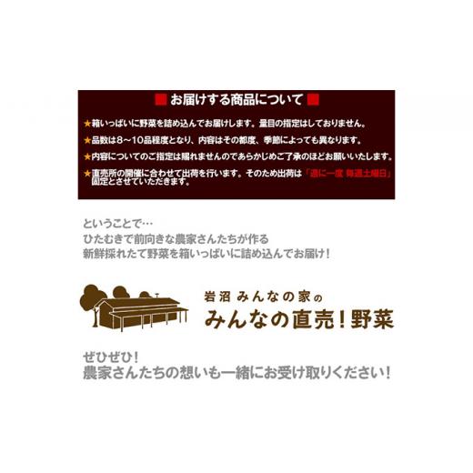 【訳あり・新品】 ふるさと納税 宮城県 岩沼市 【定期便全6回】連続6ヶ月お届け！岩沼みんなの家の「みんなの直売！野菜」セット詰め合わせ [No.5704-0641] 【MYK7971565969】(28080円)
