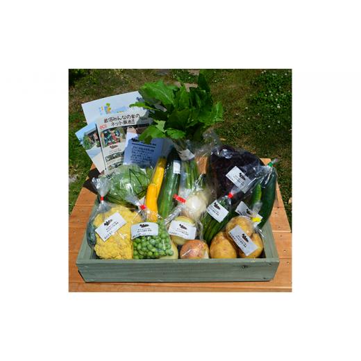 【訳あり・新品】 ふるさと納税 宮城県 岩沼市 【定期便全6回】連続6ヶ月お届け！岩沼みんなの家の「みんなの直売！野菜」セット詰め合わせ [No.5704-0641] 【MYK7971565969】(28080円)