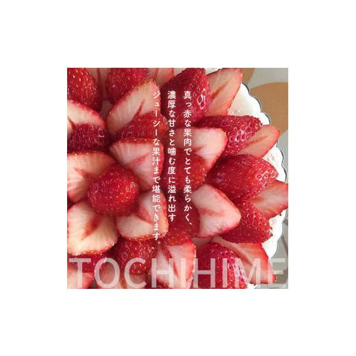 ふるさと納税 栃木県 真岡市 いちご 幻のイチゴ とちひめ 600g | 栃木県 数量限定 希少品種 栃木県 いちご日本一のまち 真岡市 栃木県 真岡市