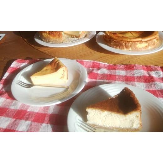 ふるさと納税 北海道 中富良野町 [北星山]チーズケーキ 6号サイズ
