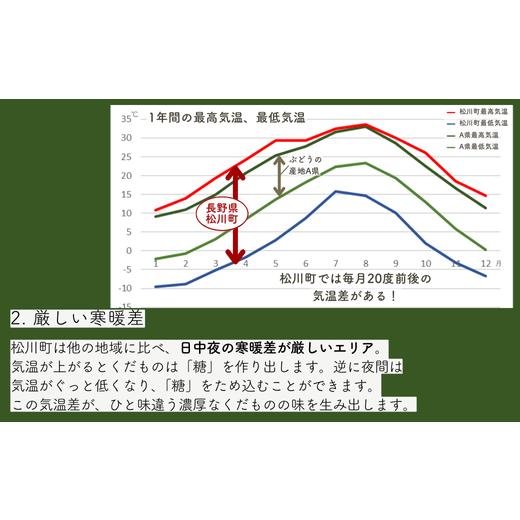 ふるさと納税 ぶどう 長野県 松川町 TK07-26A 先行予約 ぶどう ナガノパープル 約2kg ／2026年9月上旬〜中旬頃 配送予定 ／／ 贈答 長野県 南信州 ぶどう 葡萄&hellip;