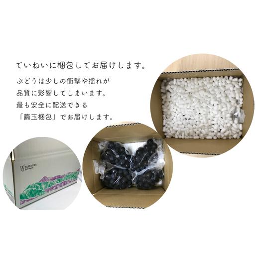ふるさと納税 ぶどう 長野県 松川町 TK07-26A 先行予約 ぶどう ナガノパープル 約2kg ／2026年9月上旬〜中旬頃 配送予定 ／／ 贈答 長野県 南信州 ぶどう 葡萄&hellip;