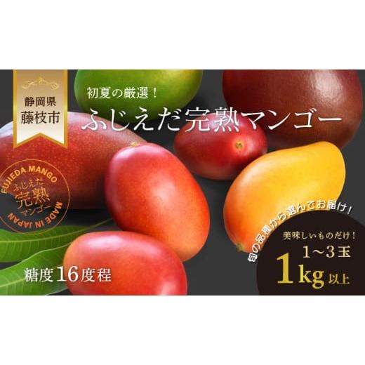 ふるさと納税 マンゴー 静岡県 藤枝市 先行予約 : 2026年6月頃より順次発送 完熟マンゴー 1kg 糖度約16度程 厳選 フルーツ 果物 国産 数量限定 フルーツ トロ…