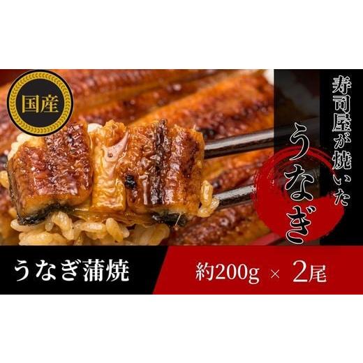 ふるさと納税 うなぎ 神奈川県 茅ヶ崎市 三河産 鰻 うなぎ蒲焼セット2尾(活魚1本200g×2)