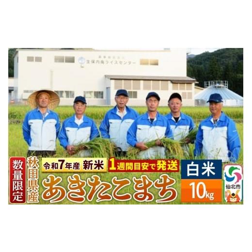 ふるさと納税 米 あきたこまち 秋田県 仙北市 令和7年産 新米 白米 あきたこまち 10kg(10kg×1袋)精米 秋田県仙北市産 10キロ