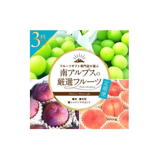 ふるさと納税 果物類 山梨県 南アルプス市 2026年発送分先行予約 フルーツギフト専門店が選ぶ南アルプスの厳選フルーツ定期便 全3品種(桃・貴陽・シャイン…