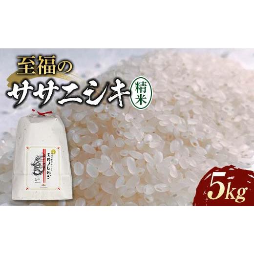 ふるさと納税 米 ササニシキ 山形県 新庄市 令和8年産米先行予約 至福のササニシキ 精米 5kg 米 お米 おこめ 山形県 新庄市