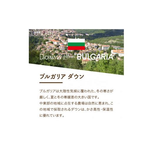 ふるさと納税 タオル・寝具 掛け布団 山梨県 富士吉田市 創業100年 匠がつくる羽毛合い掛けふとん（シングル）ブルー ブルー_4