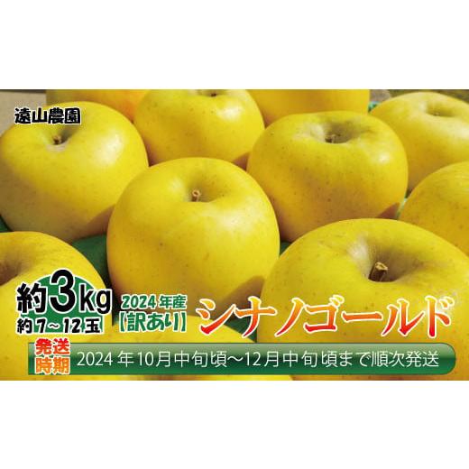 ふるさと納税 長野県 須坂市 [先行予約]2024年産[訳あり品]シナノゴールド約3kg(約7〜12玉)[遠山農園] 2024年発送 ※10月中旬頃〜12…