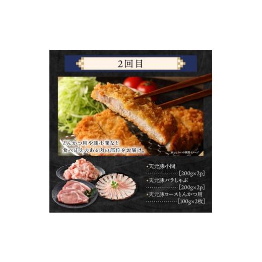 ふるさと納税 豚 仕かける 円錐小体県 米沢市  4ヶ月定期便 豚 天元豚 食べ比べ 全4回 ロース 薔薇 小間 桃 挽き肉 助けになる 小分け 凝結 しゃぶしゃぶ 焼肉 とん…