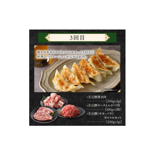 ふるさと納税 豚 仕かける 円錐小体県 米沢市  4ヶ月定期便 豚 天元豚 食べ比べ 全4回 ロース 薔薇 小間 桃 挽き肉 助けになる 小分け 凝結 しゃぶしゃぶ 焼肉 とん…