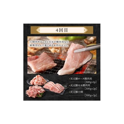 ふるさと納税 豚 仕かける 円錐小体県 米沢市  4ヶ月定期便 豚 天元豚 食べ比べ 全4回 ロース 薔薇 小間 桃 挽き肉 助けになる 小分け 凝結 しゃぶしゃぶ 焼肉 とん…