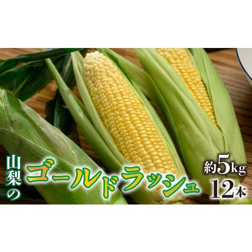 ふるさと納税 山梨県 昭和町 先行予約 令和6年発送 ゴールドラッシュ 約5kg 12本入り