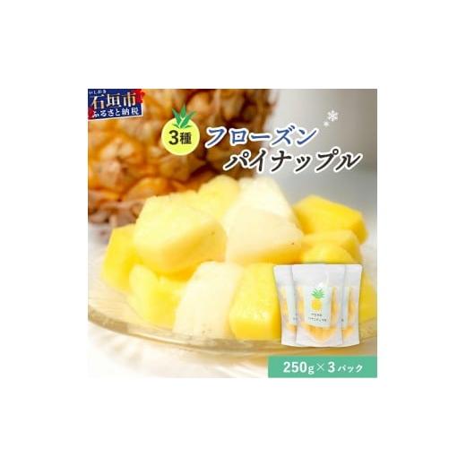 ふるさと納税 果物類 沖縄県 石垣市 先行予約 2026年6月より順次発送 贅沢3種フローズンパイナップル 3パック 沖縄県 石垣市 果物 パイナップル 冷凍 パイン …