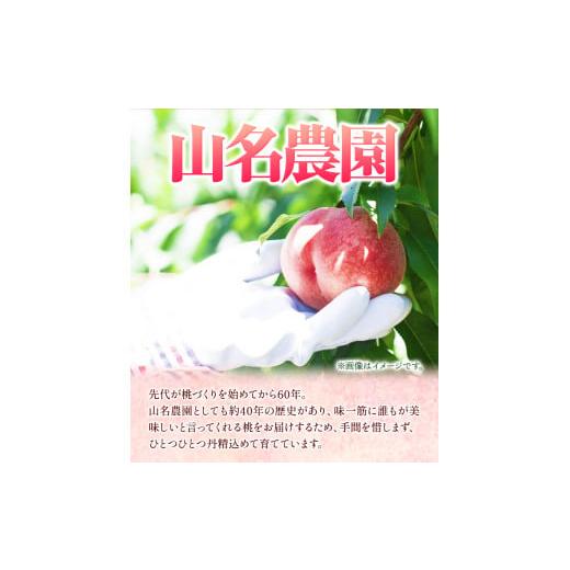 ふるさと納税 和歌山県 紀の川市 あら川の桃 約4kg 9-12玉 山名農園 《2024年6月下旬-9月中旬出荷》 和歌山県 紀の川市 桃 もも モモ 白鳳 白桃 フルーツ 果物…｜furusatochoice｜03