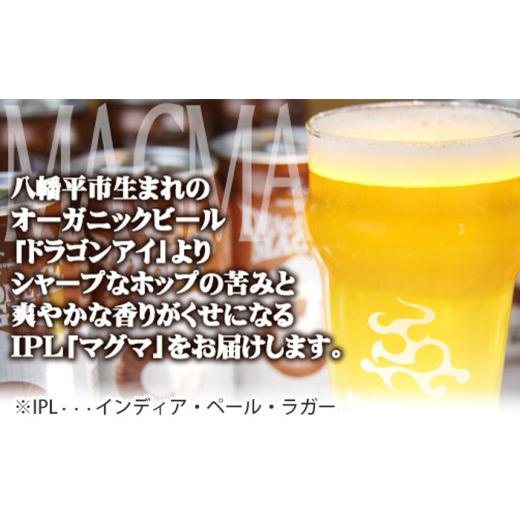 ふるさと納税 ビール 地ビール 岩手県 八幡平市  八幡平市 × 雫石町 共通返礼品 お肉 と お酒 の贅沢セット （ ドラゴンアイ マグマ \u0026 雫石牛 肩ロース …の画像