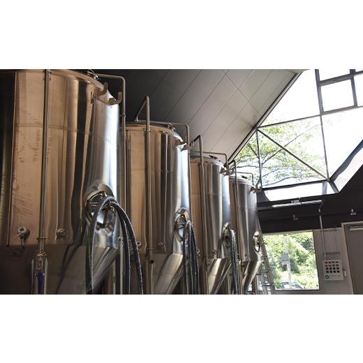 ふるさと納税 ビール 地ビール 岩手県 八幡平市  八幡平市 × 雫石町 共通返礼品 お肉 と お酒 の贅沢セット （ ドラゴンアイ マグマ \u0026 雫石牛 肩ロース …の画像