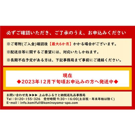 ふるさと納税 山形県 上山市 【最大６か月待ち】かみのやまシュー　２０個　0048-2402｜furusatochoice｜05