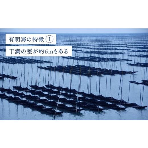 ふるさと納税 乾物 のり 佐賀県 吉野ヶ里町 全6回定期便 佐賀海苔3種食べ比べ(味のり／焼のり／塩のり)ボトル３本セット（各10切40枚）株式会社サン海苔／吉…_6