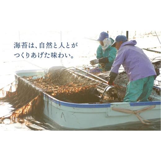 ふるさと納税 乾物 のり 佐賀県 吉野ヶ里町 全6回定期便 焼きのり・味付けのり 佐賀海苔 有明の華 株式会社サン海苔／吉野ヶ里町 FBC049_6