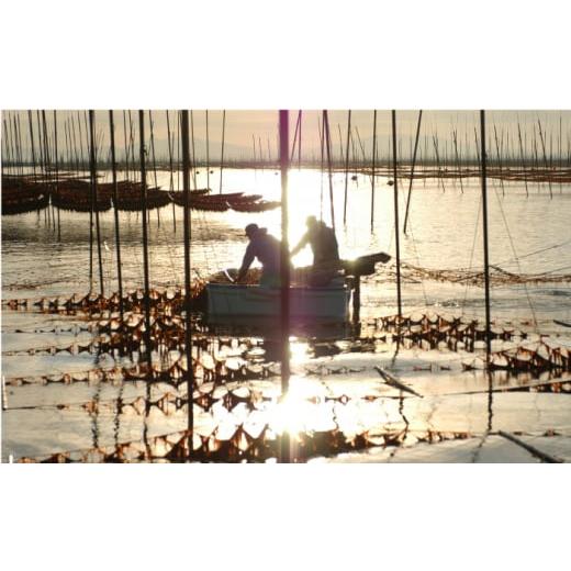 ふるさと納税 乾物 のり 佐賀県 吉野ヶ里町 全6回定期便 焼きのり・味付けのり 佐賀海苔 有明の華 株式会社サン海苔／吉野ヶ里町 FBC049_7