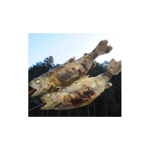 ふるさと納税 東京都 あきる野市 秋川国際マス釣場＜A:エサ釣りペア券＞【1392920】 