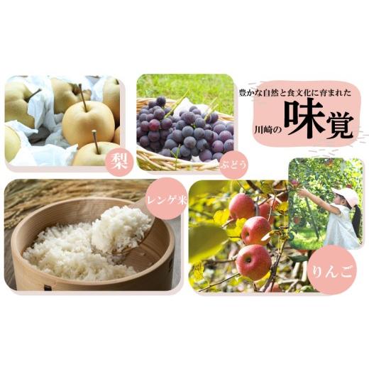 ふるさと納税 牛肉 カレー・シチュー 福岡県 川崎町 国産 牛すじかれー 4個セット3回 定期便 ｜ かれー カレー 牛カレー curry beef 惣菜 おかず 夕食 ごはん …の画像