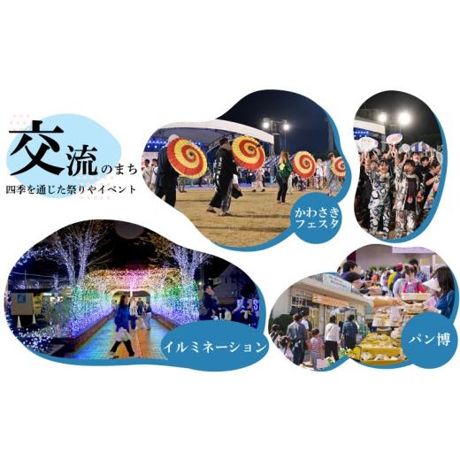 ふるさと納税 牛肉 カレー・シチュー 福岡県 川崎町 国産 牛すじかれー 4個セット3回 定期便 ｜ かれー カレー 牛カレー curry beef 惣菜 おかず 夕食 ごはん …の画像