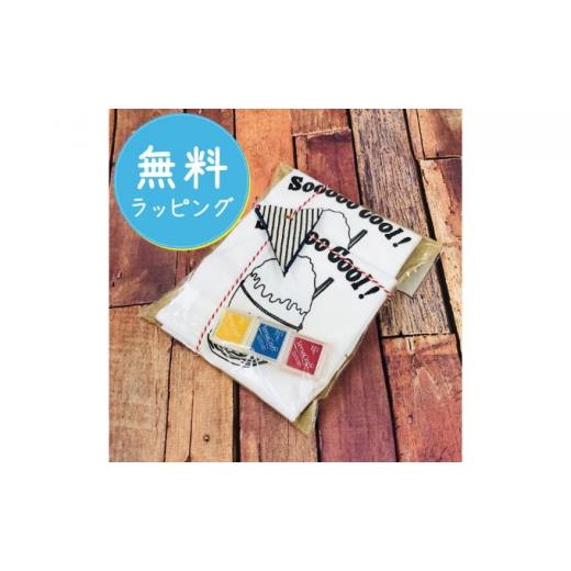 ふるさと納税 服 子ども 神奈川県 逗子市 2人兄弟姉妹でおそろい ／DIYプリント かき氷／ Tシャツ2枚組ギフトセット（90cm×110cm） No.5875-7511 0671 90cm×…_7