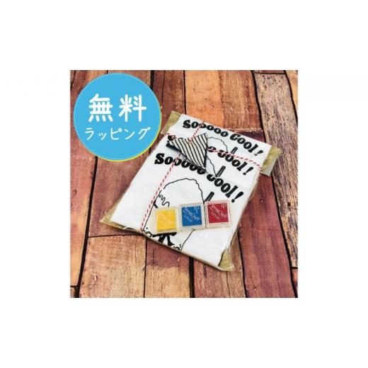 ふるさと納税 服 子ども 神奈川県 逗子市 3人兄弟姉妹でおそろい ／DIYペイント かき氷／ Tシャツ3枚組ギフトセット（80cm×110cm×130cm） No.5875-7535 0672…_7
