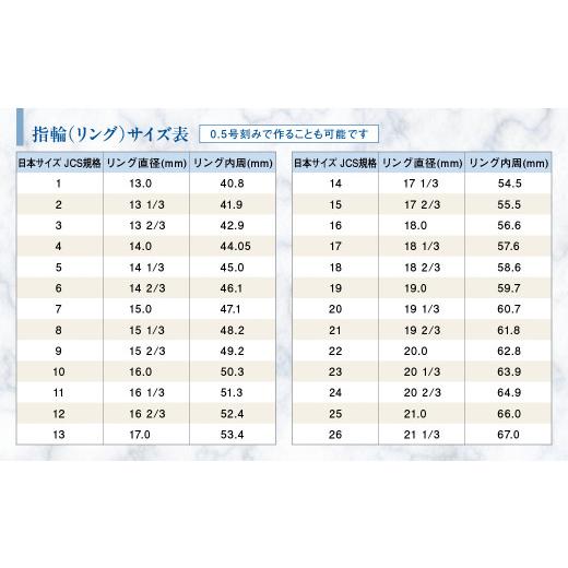 ふるさと納税 アクセサリー リング 山梨県 甲斐市 サファイア リング 0.6ct 0.6カラット K10 10金 ホワイトゴールド （12078） 山梨 指輪 リング サファイア …の画像