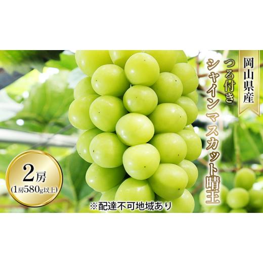 ふるさと納税 ぶどう マスカット 岡山県 瀬戸内市 ぶどう 2026年 先行予約 つる付き シャイン マスカット 晴王 2房入り（1房 580g以上 ハウス栽培） ブドウ 葡…の画像