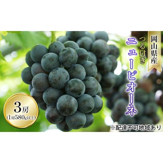 ふるさと納税 ぶどう 岡山県 瀬戸内市 ぶどう 2026年 先行予約 つる付き ニュー ピオーネ 3房入り（1房 580g以上 ハウス栽培） ブドウ 葡萄 岡山県産 国産 フ…の画像