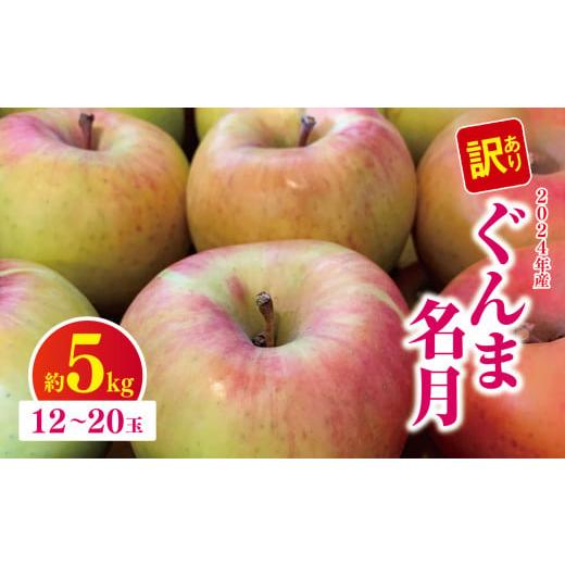 ふるさと納税 りんご 長野県 松川村 訳あり ぐんま名月 約5kg 2026年先行予約 | やまし平林農園 リンゴ りんご 林檎 果物 フルーツ 果実 果汁 ぐんま名月 ぐ…