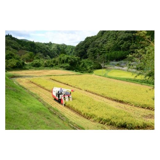 ふるさと納税 岡山県 新見市 【定期便】令和5年産 里山新見のめぐみ あきたこまち 10kg(5kg×2袋)3ヶ月連続｜furusatochoice｜07