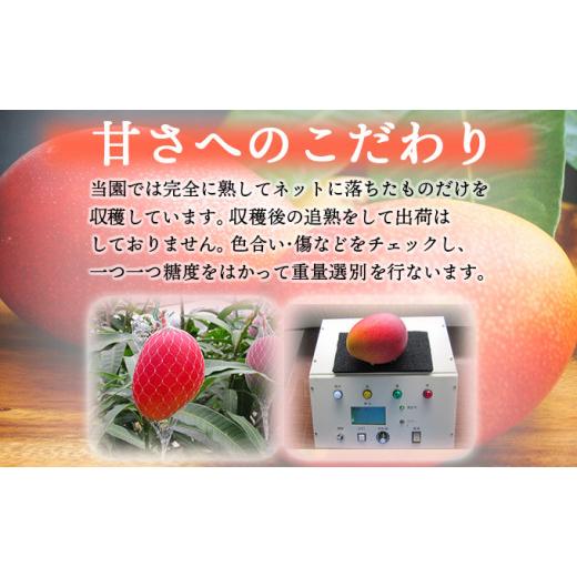 シューズ(男性用) NIKE AIR JORDAN 1 LOW 27.5cm Levi's×crocs classic US11 29cm （100+ affordable 