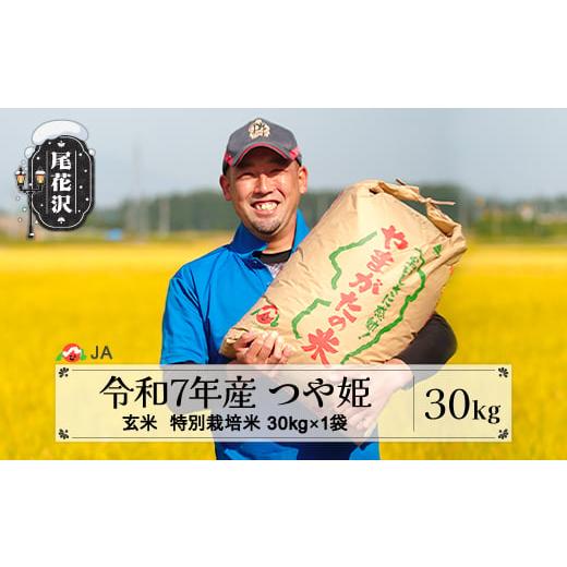 ふるさと納税 玄米 山形県 尾花沢市 令和7年産 新米 玄米 特別栽培米 つや姫 30kg 1月上旬発送 ja-tsgta30-1f 令和8年1月上旬発送