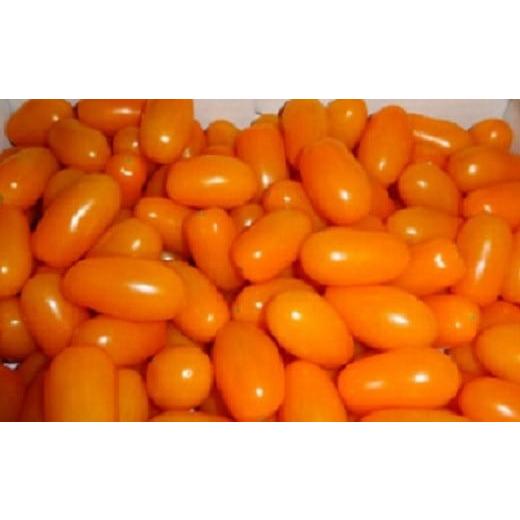 ふるさと納税 トマト ミニトマト 愛知県 豊橋市 今が旬 フルーツトマト あまえぎみ 約1kg クレアオレンジ フルーツトマト 1キロ 1kg たっぷり ミニトマト プ…