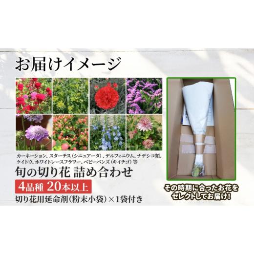 ふるさと納税 雑貨・日用品 花 北海道 月形町 ［2026年11月お届け］生産者直送 旬の花詰め合わせ〔4品種20本以上保証〕 No.5783-7038 0753 ［2025年11月お届け…_4
