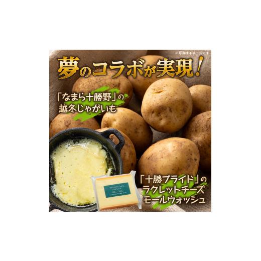 ふるさと納税 セット・詰合せ 北海道 芽室町 北海道十勝芽室町 なまら十勝野 越冬じゃがいも ラクレットチーズ1／2ホール 1,800g以上 セット　me000-008c_2
