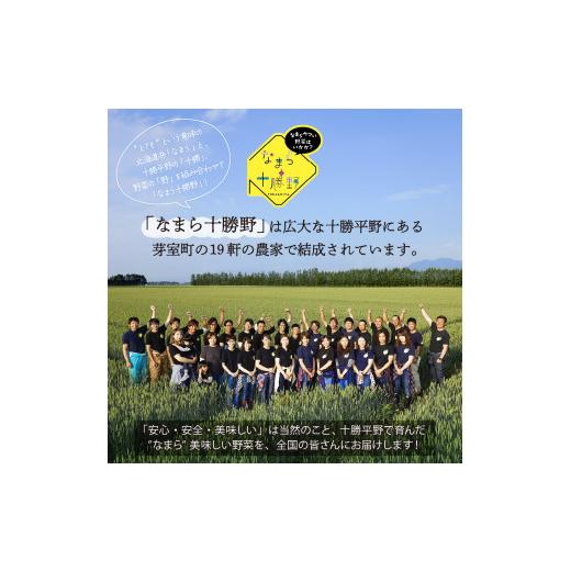 ふるさと納税 セット・詰合せ 北海道 芽室町 北海道十勝芽室町 なまら十勝野 越冬じゃがいも ラクレットチーズ1／2ホール 1,800g以上 セット　me000-008c_8