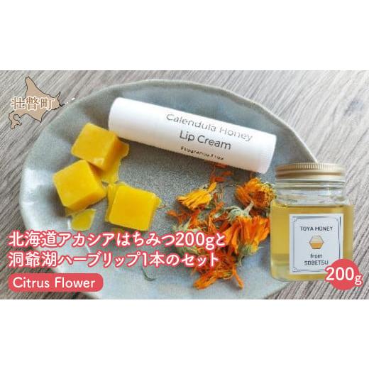 ふるさと納税 加工品等 はちみつ 北海道 壮瞥町 北海道アカシアはちみつ200gと洞爺湖ハーブリップ1本(Citrus Flower)のセット ふるさと納税 人気 おすすめ …
