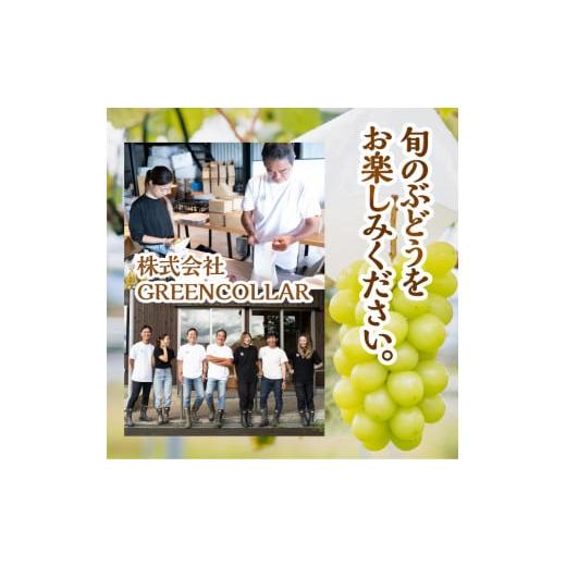 ふるさと納税 山梨県 北杜市 【2024年先行予約】八ヶ岳南麓の天然水で育てたシャインマスカット 1.0kg以上(2~3房程度)　※特選｜furusatochoice｜08
