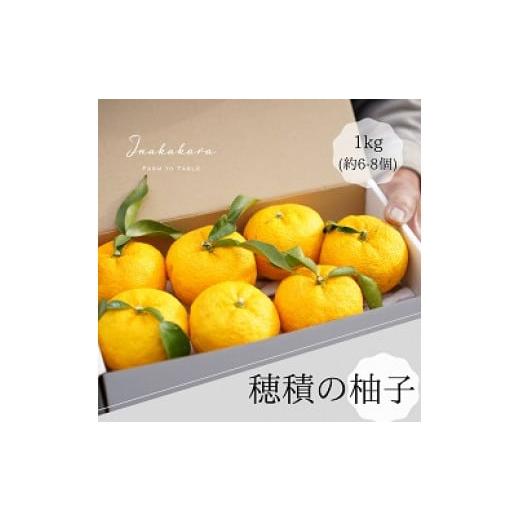 ふるさと納税 みかん・柑橘類 ゆず 山梨県 富士川町 2025年発送分 富士川町産 ゆず 約1kg 産地直送 穂積の柚子 マーマレードにも 柚子 ユズ 山梨 やま…