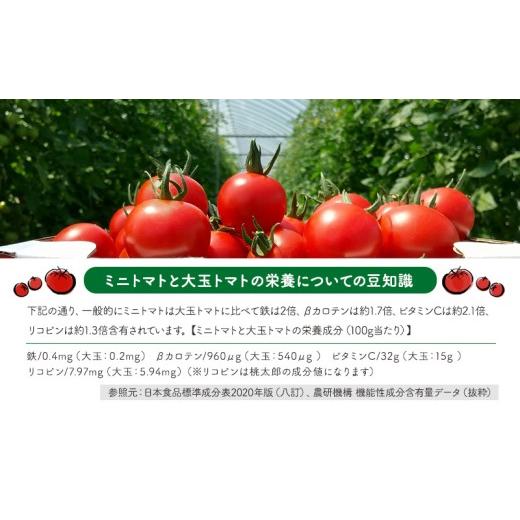 ふるさと納税 果汁飲料 トマト 北海道 仁木町 先行受付 2026年産 ミニトマト ジュース (北海道 仁木町産 ミニトマト エコスイート 100%) 1L×6本 無塩・無糖・…の画像