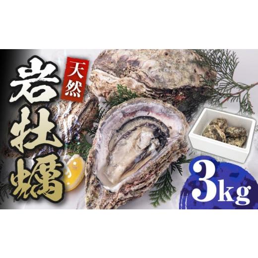 ふるさと納税 長崎県 対馬市 天然 岩ガキ 3kg[対馬市][海風商事]国産 九州 長崎 牡蠣 [WAD001]冷蔵 新鮮 岩牡蠣 BBQ バーベキュー カキフライ 生牡蠣 生カ…