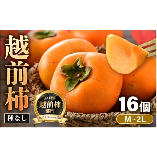 ふるさと納税 果物類 柿 福井県 あわら市  先行予約 越前柿 16個入 約2.5kg（M〜2L） JA受賞歴親子２代 ／ 果物 フルーツ 柿 産地直送 期間限定 2026年11月上…_1