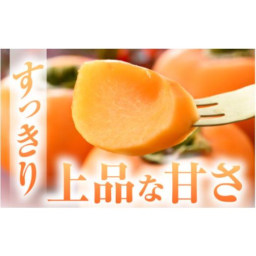 ふるさと納税 果物類 柿 福井県 あわら市  先行予約 越前柿 16個入 約2.5kg（M〜2L） JA受賞歴親子２代 ／ 果物 フルーツ 柿 産地直送 期間限定 2026年11月上…_3